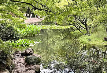 西湖风景名胜区第 368 张图片