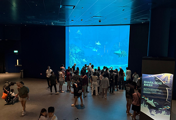 新加坡海洋生态馆第 158 张图片