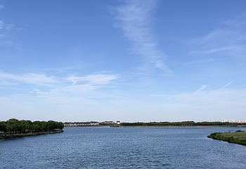 阳澄湖第 89 张图片