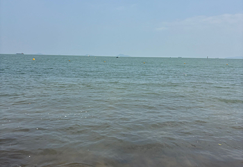 黑沙海滩第 34 张图片