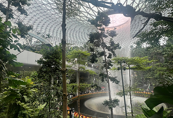 星耀樟宜第 188 张图片