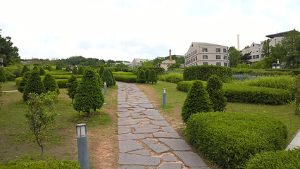 梨花女子大学第 99 张图片