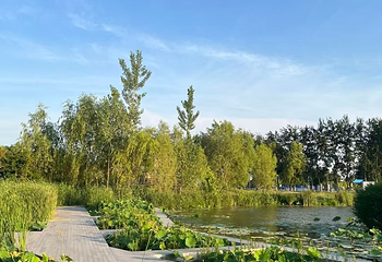 北京温榆河公园第 34 张图片