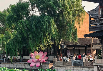 锦溪古镇第 64 张图片