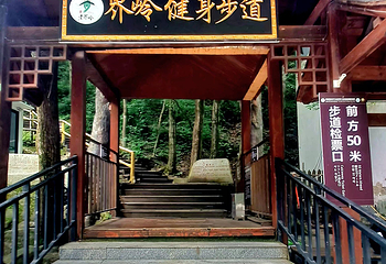 老界岭旅游度假区第 114 张图片