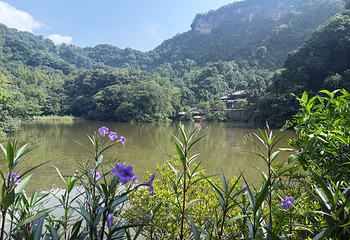青城山第 94 张图片