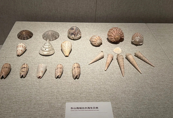 漳州市博物馆第 60 张图片
