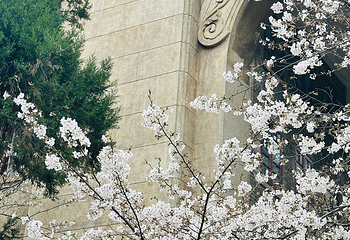 武汉大学第 62 张图片