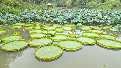 莲花山旅游区第 22 张图片
