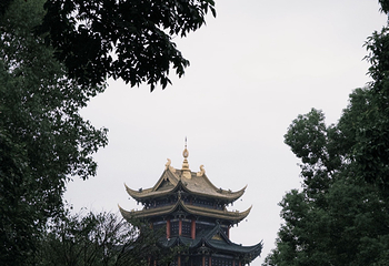 鸿恩寺公园第 139 张图片
