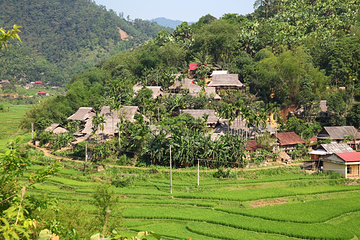 Pu Luong Nature Reserve第 8 张图片
