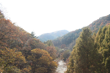 长泰山自然休养林第 6 张图片