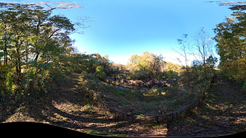 渡良瀬川河川緑地