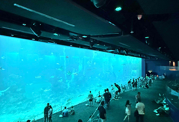新加坡海洋生态馆第 172 张图片