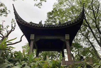 沧浪亭第 19 张图片