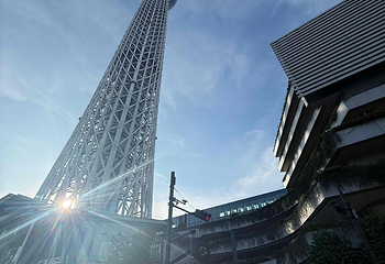 东京晴空塔第 193 张图片