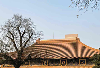 大兴善寺第 27 张图片