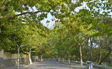 八大关第 34 张图片