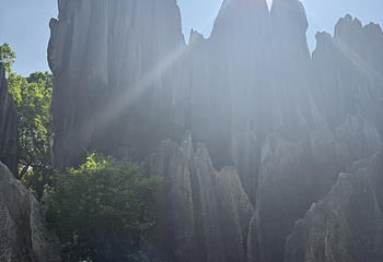石林风景区第 275 张图片