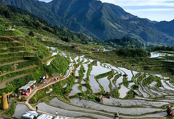 云和梯田景区第 11 张图片