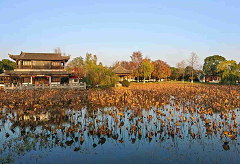 尚湖风景区第 78 张图片