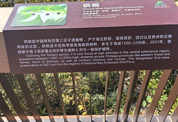 巫峡·神女景区第 24 张图片