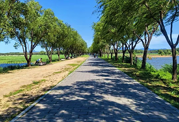 野鸭湖国家湿地公园第 57 张图片