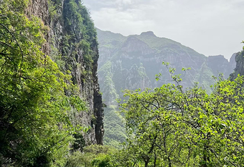 神农山风景区第 22 张图片