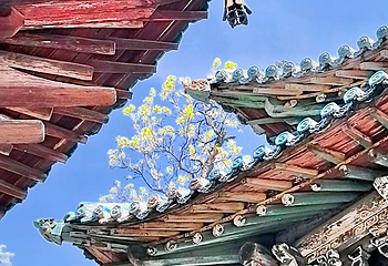 晋祠博物馆第 508 张图片