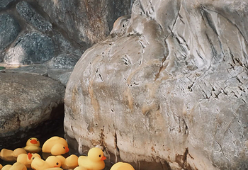 湖泉半山温泉第 29 张图片