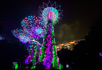 新加坡滨海湾花园第 300 张图片