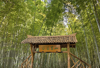 虎丘山风景名胜区第 219 张图片