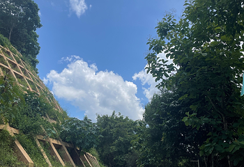 德天跨国瀑布景区第 288 张图片