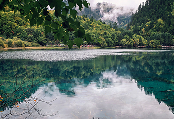 九寨沟风景区第 263 张图片