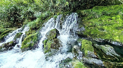 白岩泉风景区第 1 张图片
