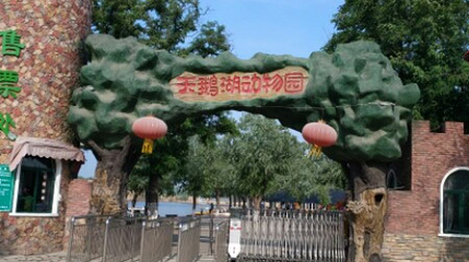 天鹅湖动物园第 1 张图片