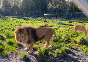 天堂谷野生动物园