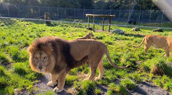 天堂谷野生动物园