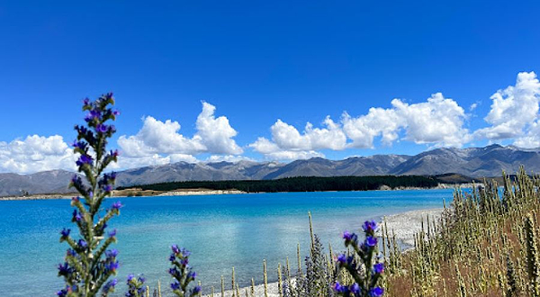 Lake Pukaki Nature Walk