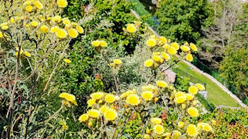 Praia Fluvial do Bairro da Ponte