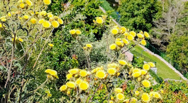 Praia Fluvial do Bairro da Ponte