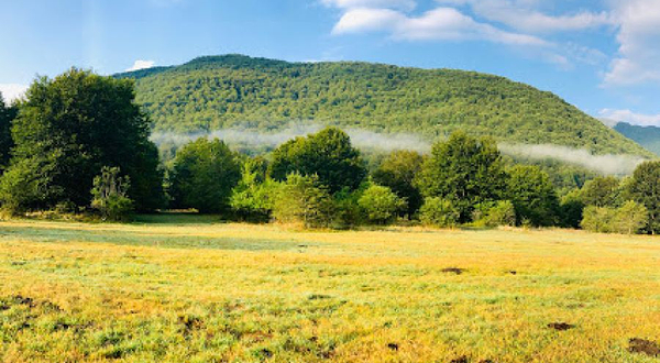 Ente Autonomo Parco Nazionale D'Abruzzo