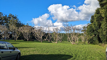 Robert Sowter Park Lookout