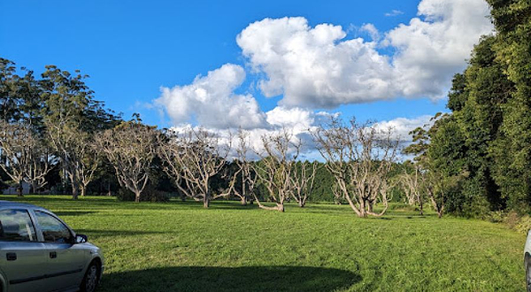 Robert Sowter Park Lookout
