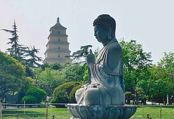 大雁塔第 70 张图片