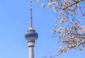 玉渊潭公园第 55 张图片