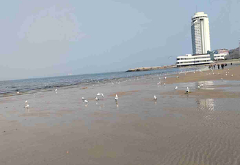 第一海水浴场第 12 张图片
