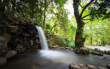 金华双龙风景旅游区第 65 张图片
