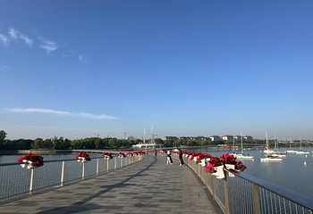 金鸡湖第 192 张图片