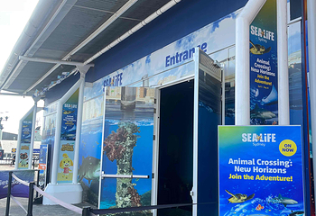 悉尼水族馆第 38 张图片